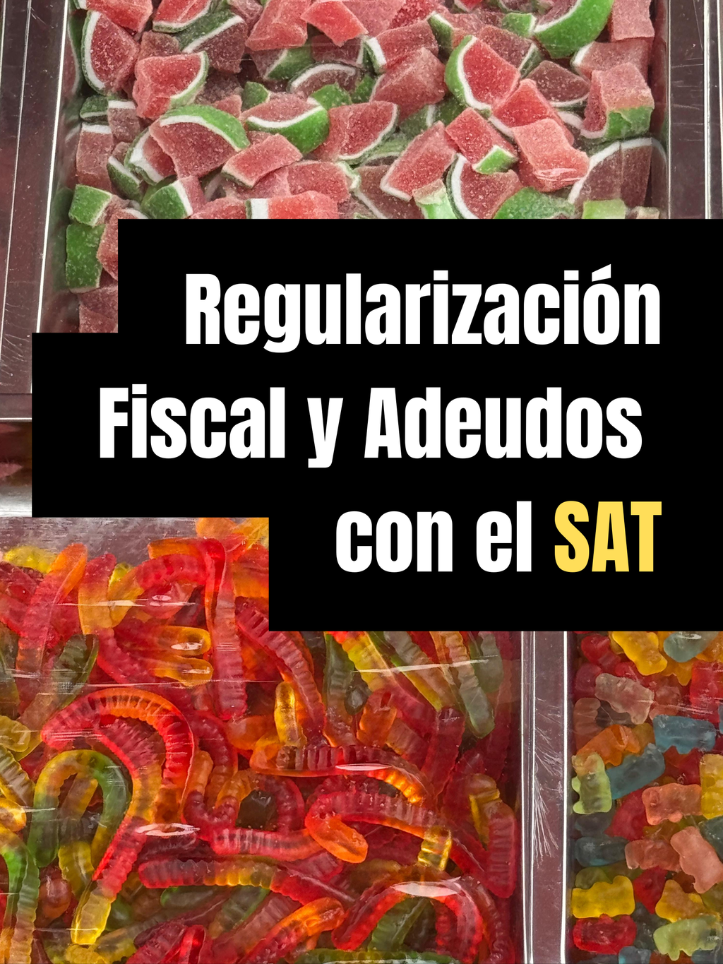 Regularización y Defensa Fiscal